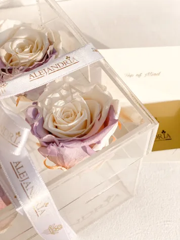 4 Rosas Preservadas en Caja Acrílica