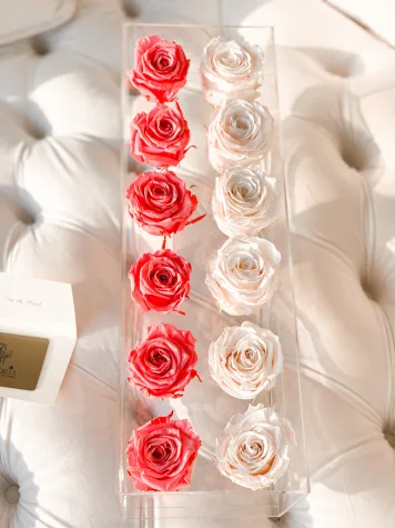 12 Rosas Preservadas en Caja Acrílica