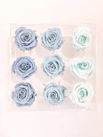 9 Rosas Preservadas en Caja Acrílica