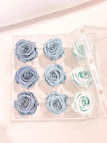 9 Rosas Preservadas en Caja Acrílica