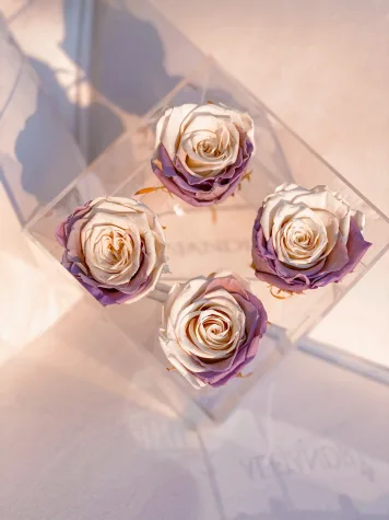 4 Rosas Preservadas en Caja Acrílica
