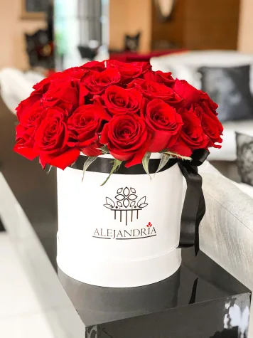 FlowerBox "Davinci"