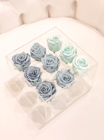 9 Rosas Preservadas en Caja Acrílica