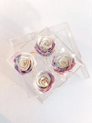 4 Rosas Preservadas en Caja Acrílica