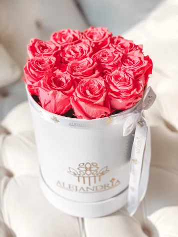 Box Terciopelo 12 Rosas Preservadas