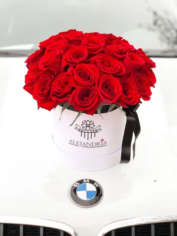 FlowerBox "Davinci"