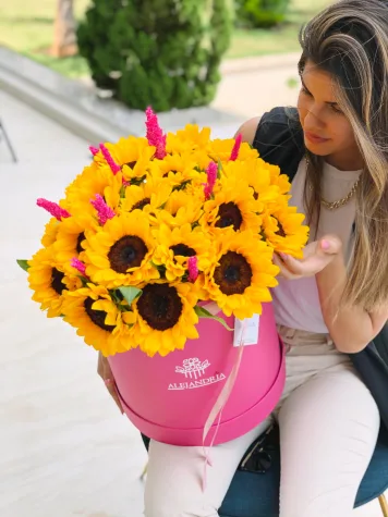 Imperial de Girasoles