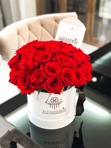 FlowerBox "Davinci"
