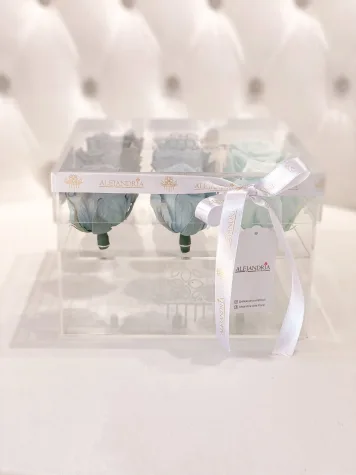 9 Rosas Preservadas en Caja Acrílica