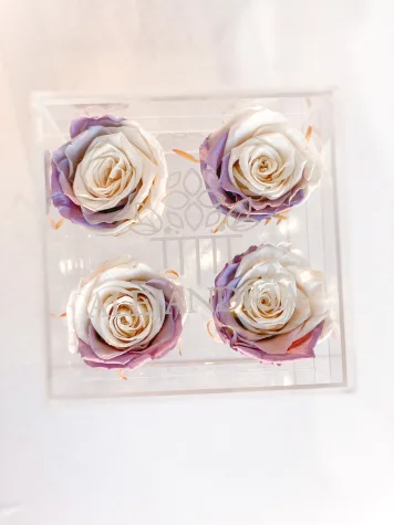 4 Rosas Preservadas en Caja Acrílica