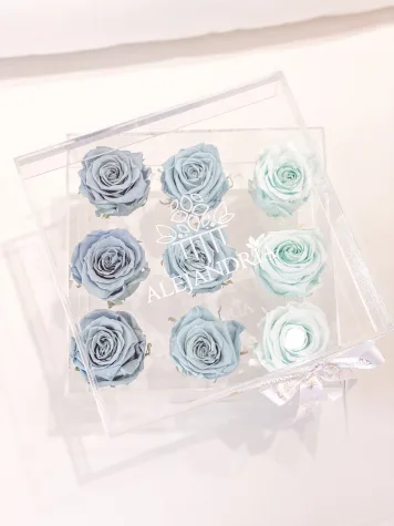 9 Rosas Preservadas en Caja Acrílica