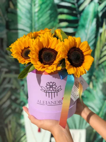 FlowerBox de Girasoles "M"