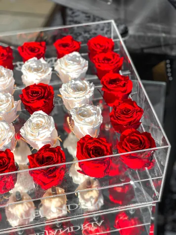 25 Rosas Preservadas en Caja Acrílica