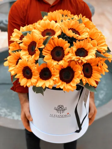 Imperial de Girasoles