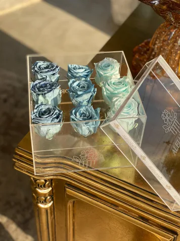9 Rosas Preservadas en Caja Acrílica
